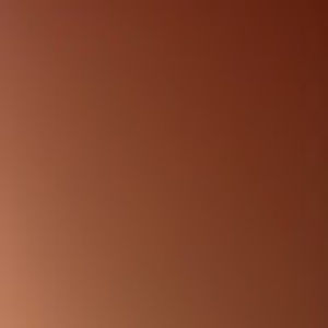 Meet your Posher, Joyce